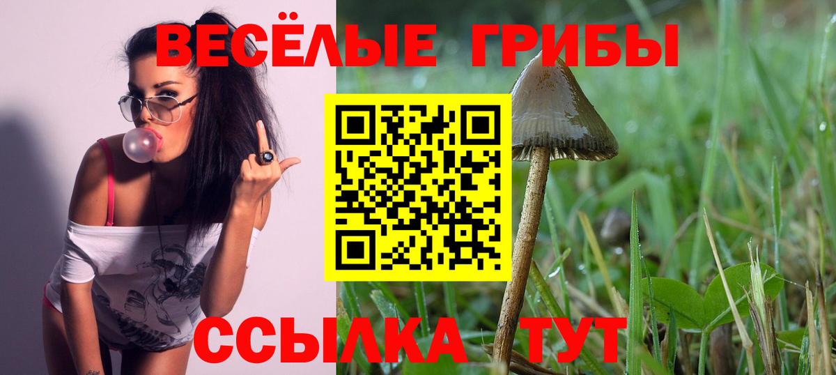 Галлюциногенные грибы ЛСД Осинники